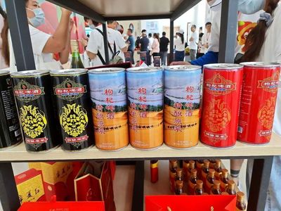 小紅果致富的大奧秘 --第四屆枸杞產(chǎn)業(yè)博覽會暨百家媒體寧夏枸杞行見聞